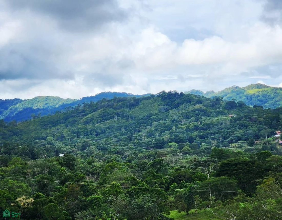 Land in Carara, San José, Costa Rica 3 - 17811421