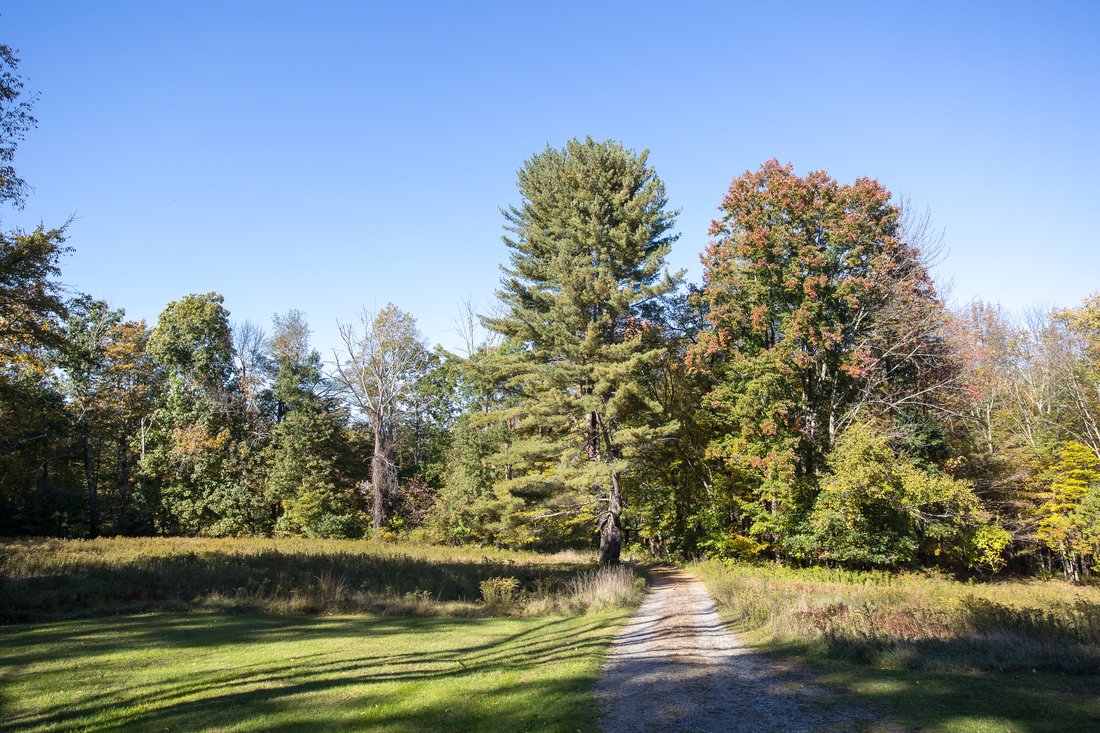 Terrain à West Stockbridge, Massachusetts, États-Unis 2 - 19091837