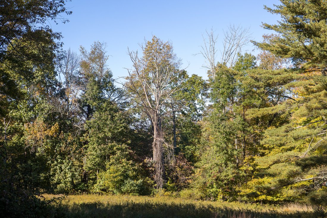 Terrain à West Stockbridge, Massachusetts, États-Unis 5 - 19091837