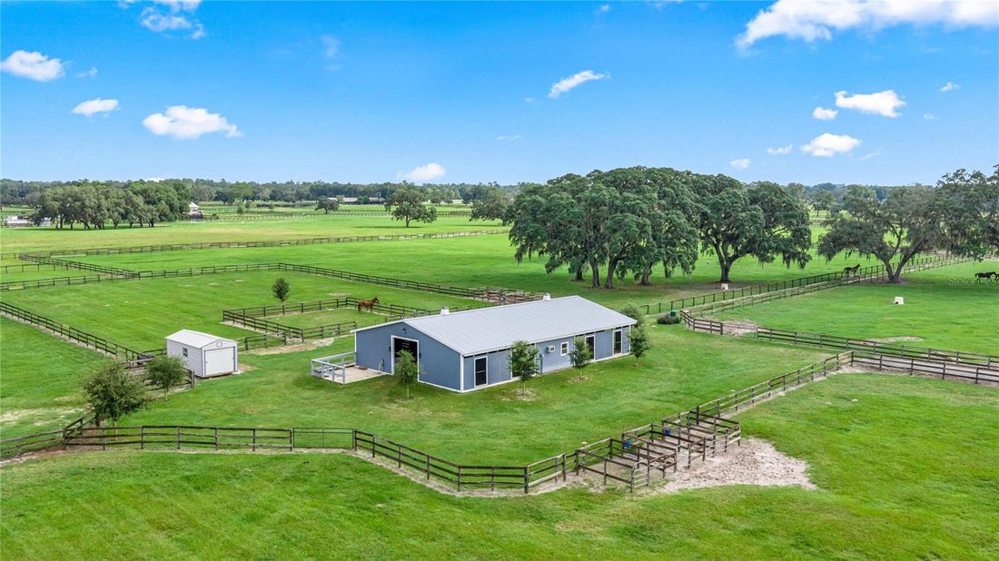 Azienda agricola a Ocala, Florida, Stati Uniti 1 - 19089785