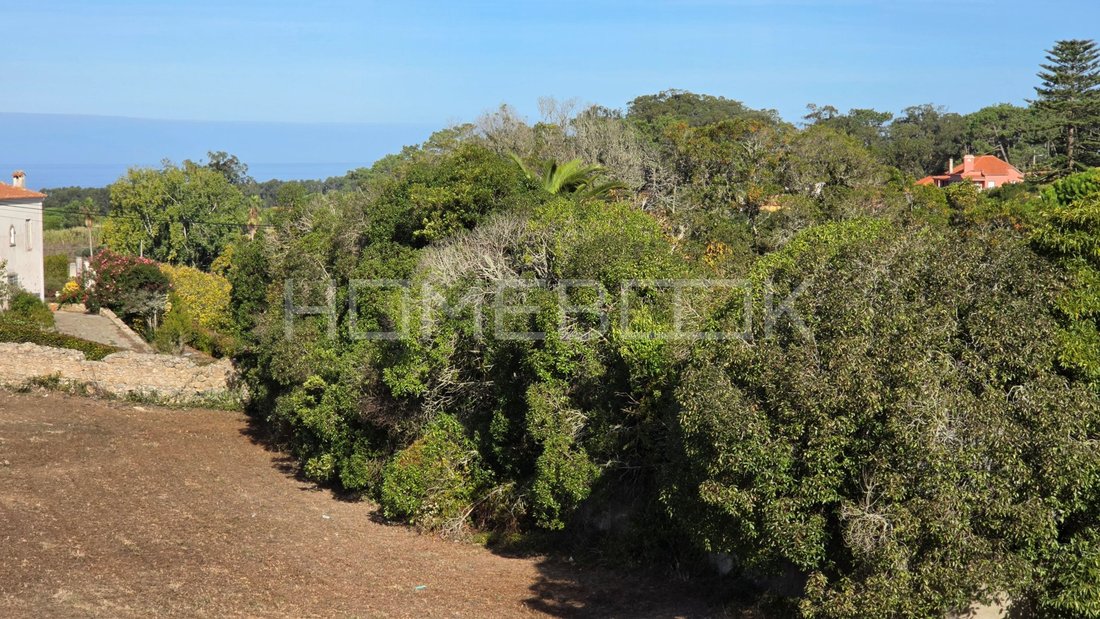 Land in Colares, Lisbon, Portugal 4 - 19090920