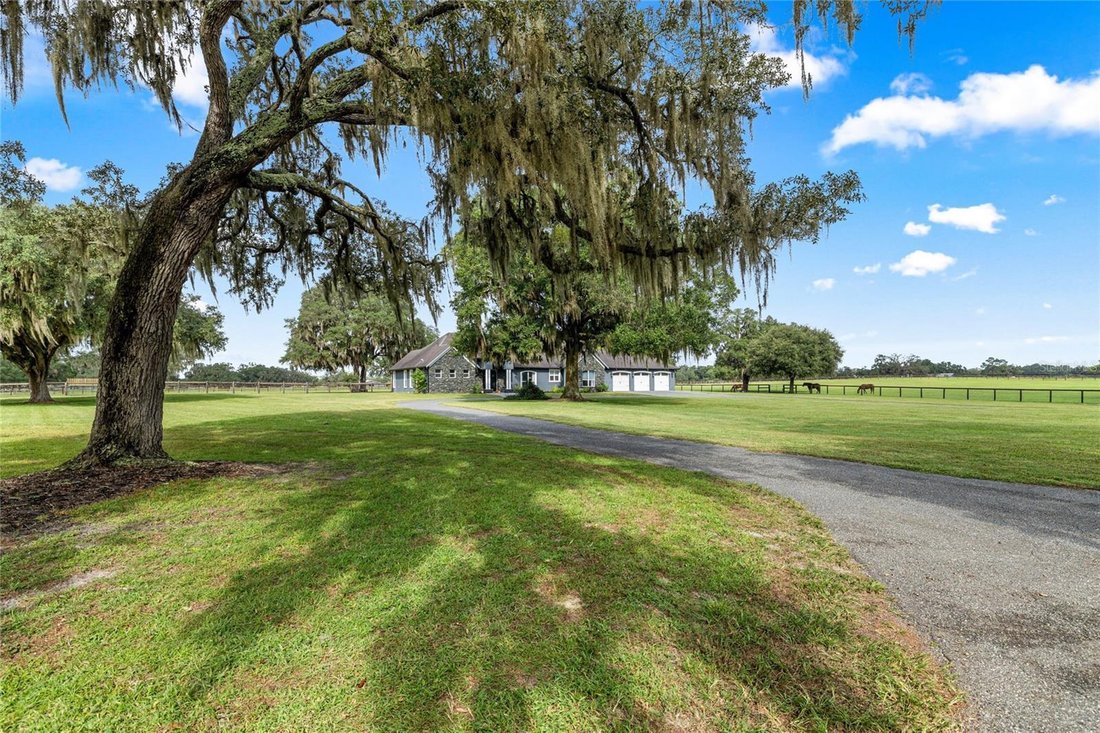 Farm Ranch in Ocala, Florida, United States 4 - 19089805