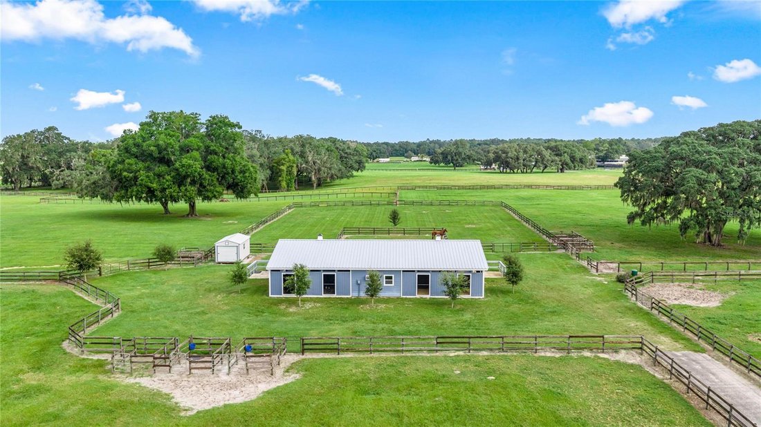 Azienda agricola a Ocala, Florida, Stati Uniti 3 - 19089785