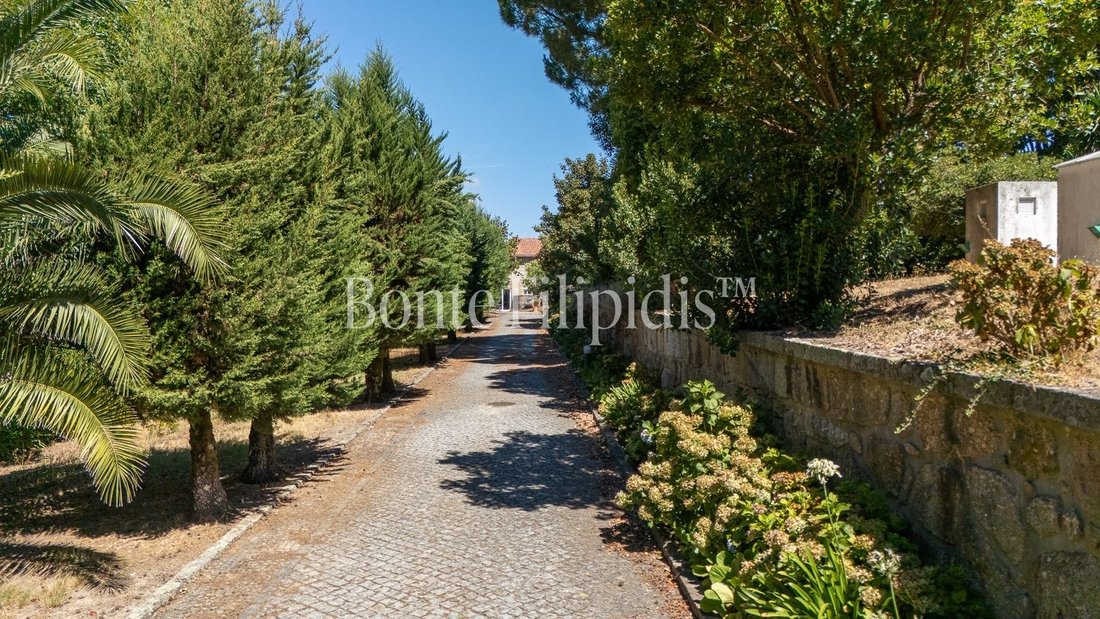 Farm Ranch in Termas de Sao Vicente, Distrikt Porto, Portugal 1 - 19088917
