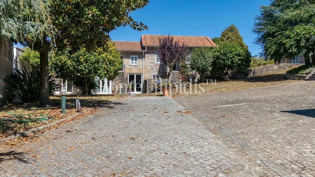 Farm Ranch in Termas de Sao Vicente, Distrikt Porto, Portugal 4 - 19088917