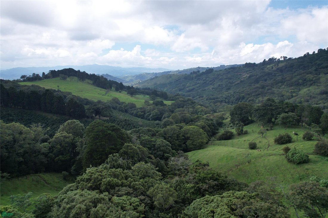 Terrain en Naranjo, Alajuela, Costa Rica 4 - 19091897