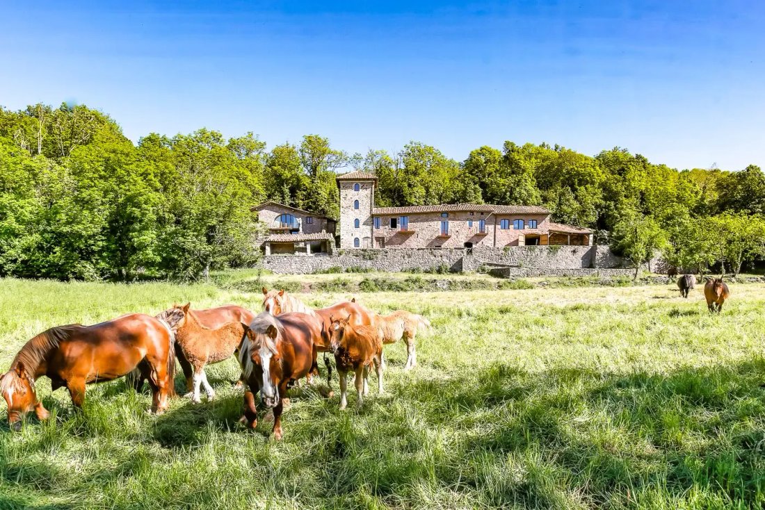 Finca à Camprodon, Catalogne, Espagne 5 - 18301666