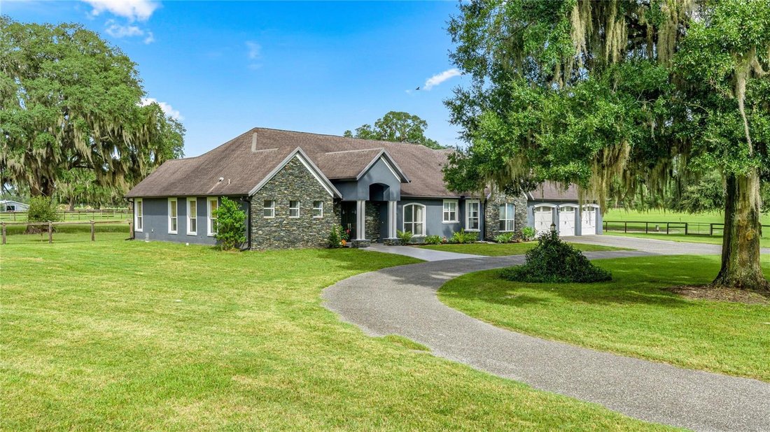Azienda agricola a Ocala, Florida, Stati Uniti 3 - 19089841