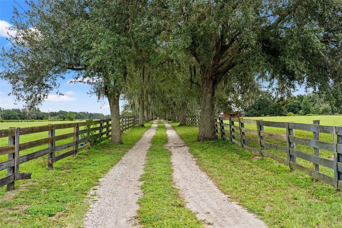 House in Spring Hill, Florida, United States 5 - 19089794