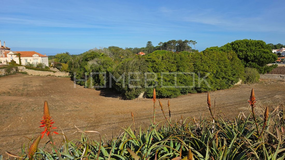 Land in Colares, Lisbon, Portugal 3 - 19090920