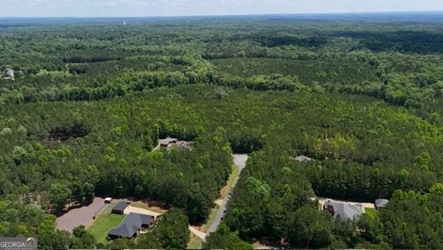 Land in Ellerslie, Georgia, United States 3 - 19087079