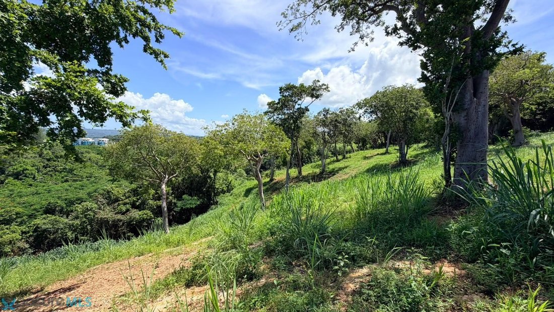 Terreno a Aguada, Aguada, Porto Rico 5 - 19087462