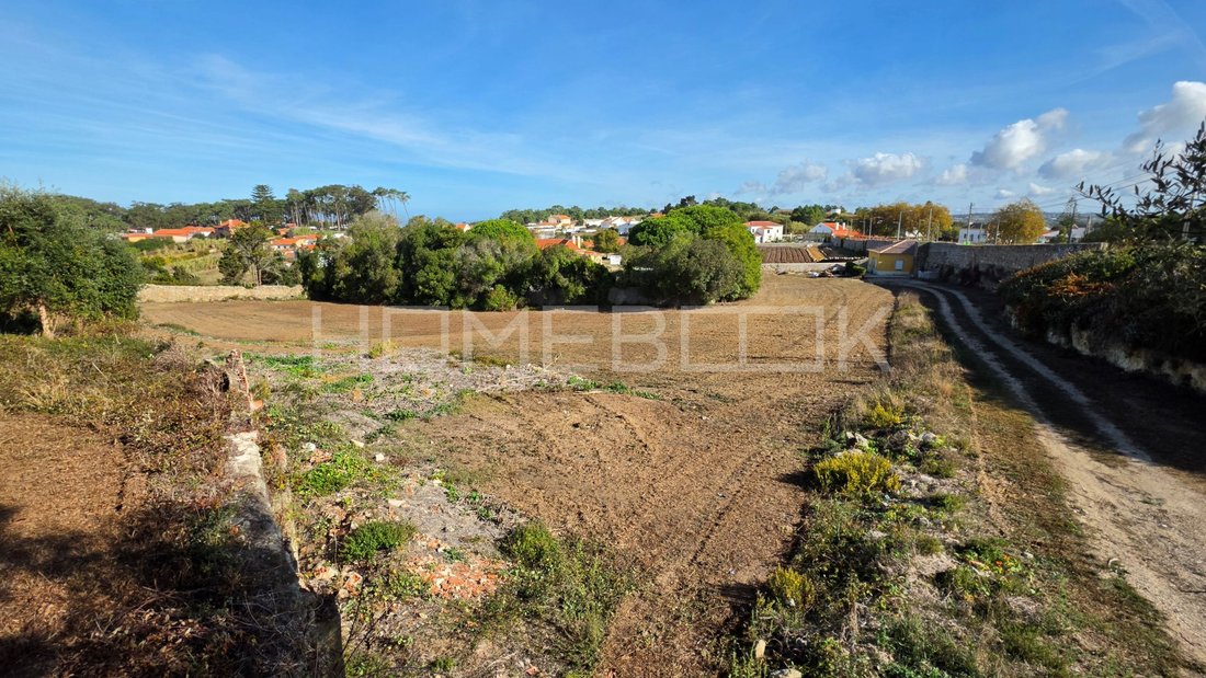 Land in Colares, Lisbon, Portugal 2 - 19090920