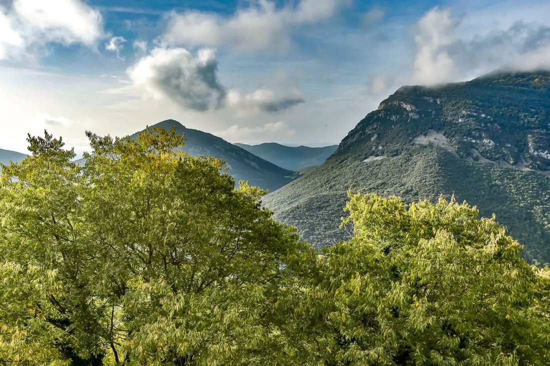 Finca à Montagut i Oix, Catalogne, Espagne 5 - 18301044