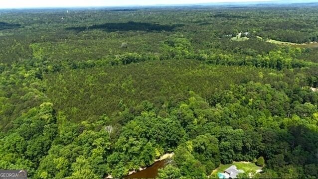 Land in Ellerslie, Georgia, United States 1 - 19087079