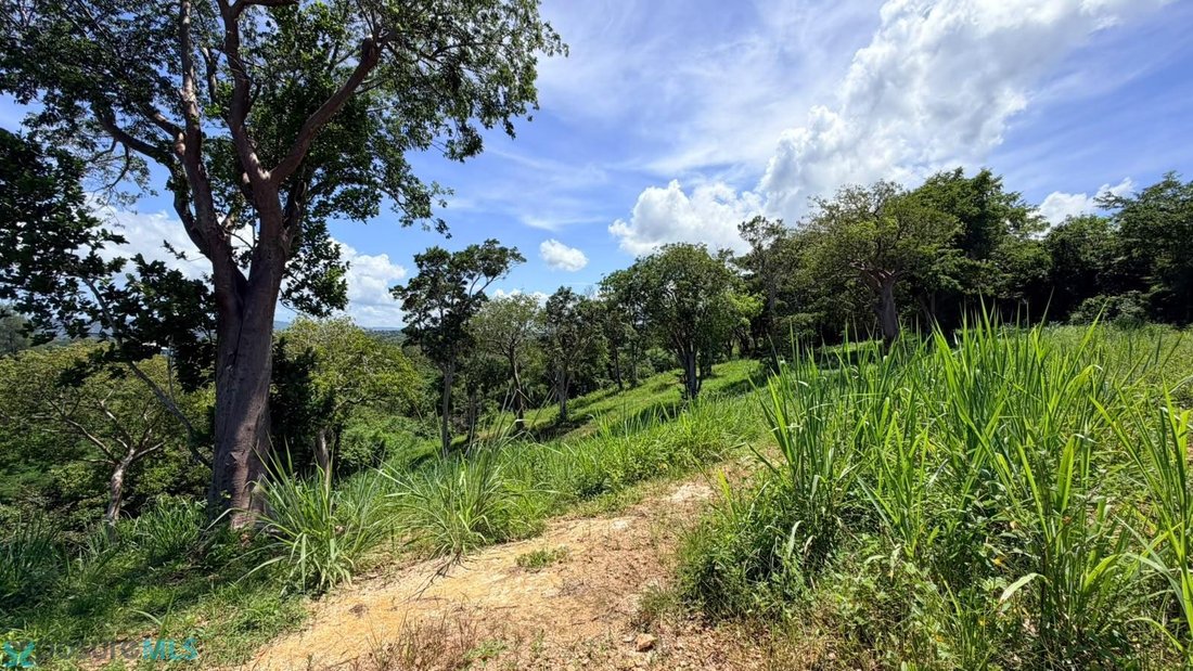 Terreno a Aguada, Aguada, Porto Rico 3 - 19087462