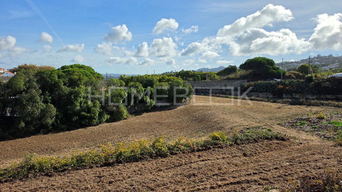 Land in Colares, Lisbon, Portugal 5 - 19090920