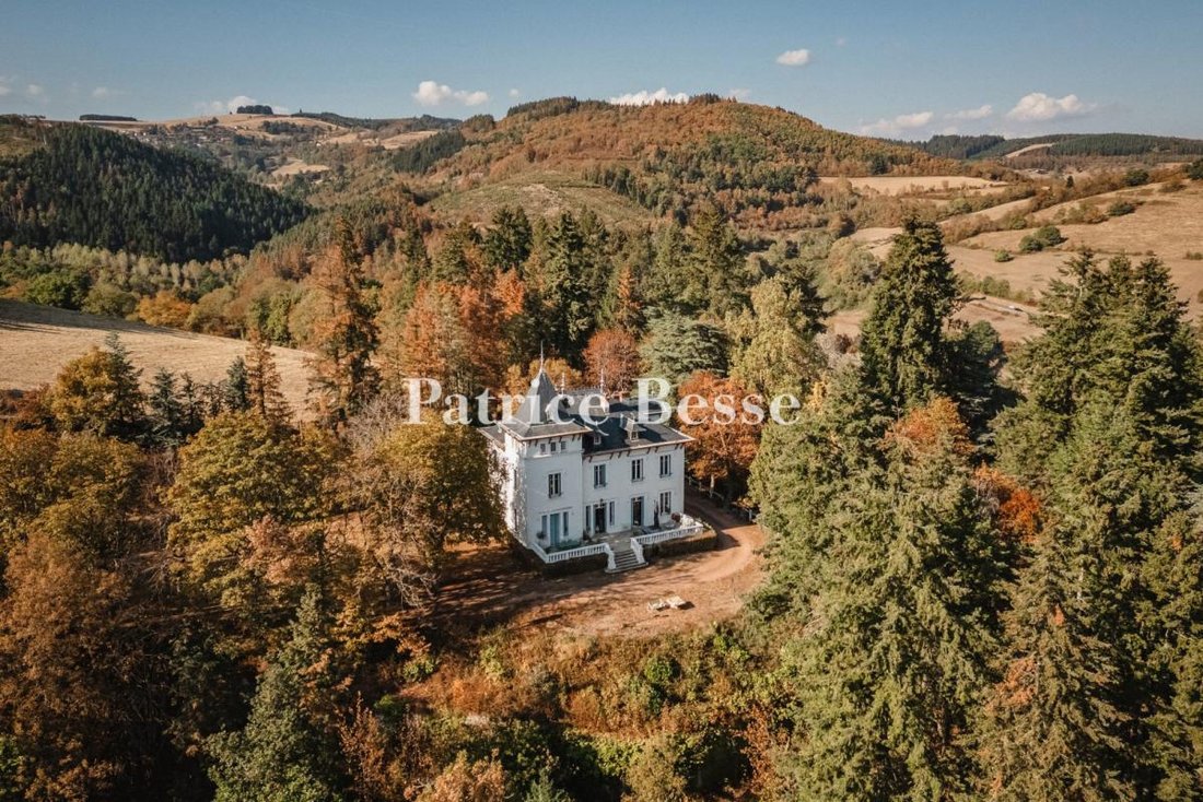 Casa en Centre, Tarare, Francia 2 - 19090649