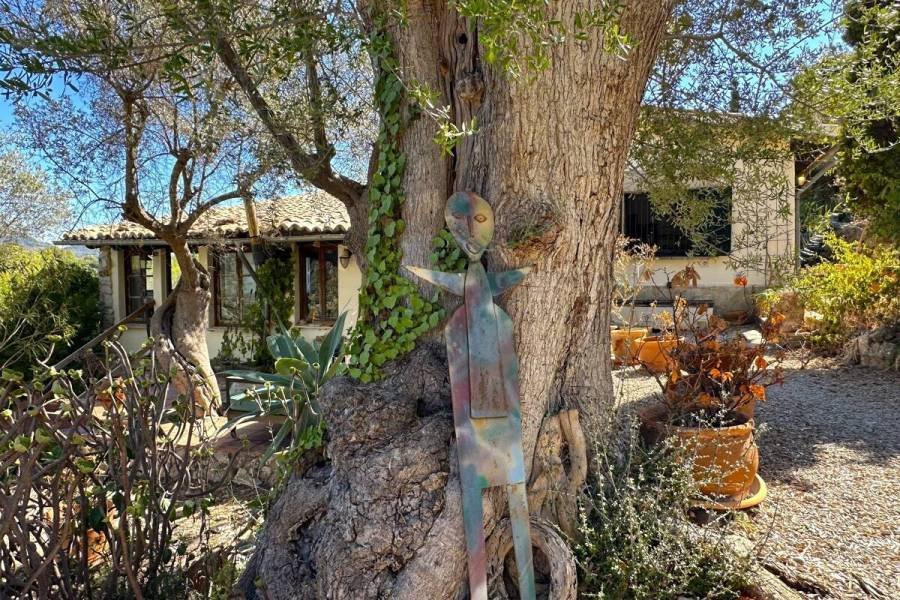 Finca in Puigpunyent, Balearische Inseln, Spanien 1 - 19087499