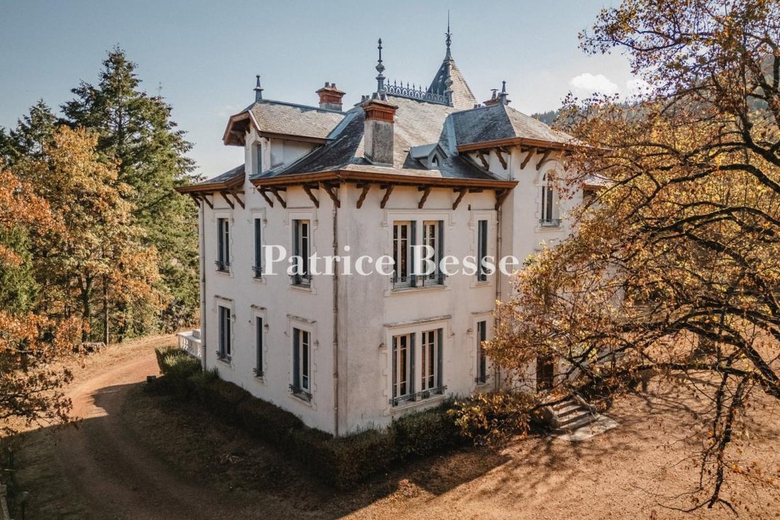 Casa en Centre, Tarare, Francia 4 - 19090649