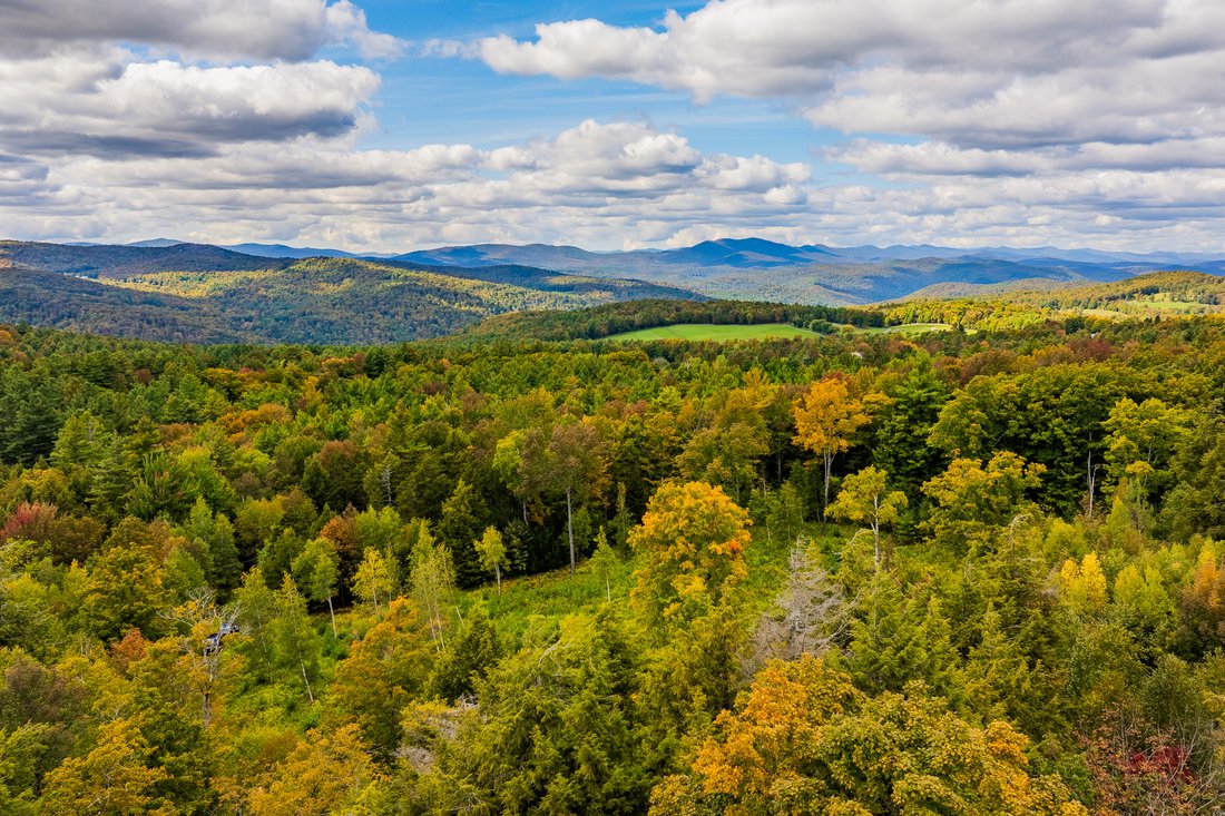 Terreno a Barnard, Vermont, Stati Uniti 1 - 19091859