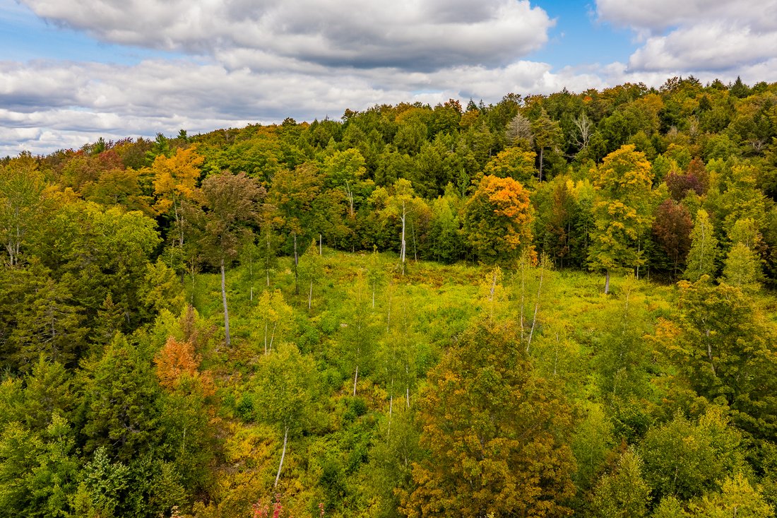 Terreno a Barnard, Vermont, Stati Uniti 2 - 19091859