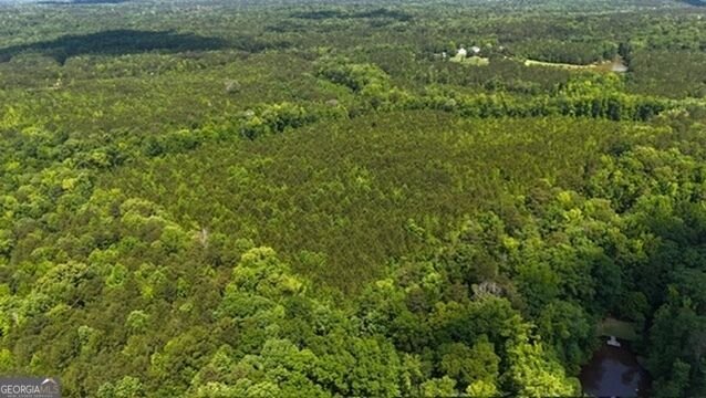 Land in Ellerslie, Georgia, United States 2 - 19087079