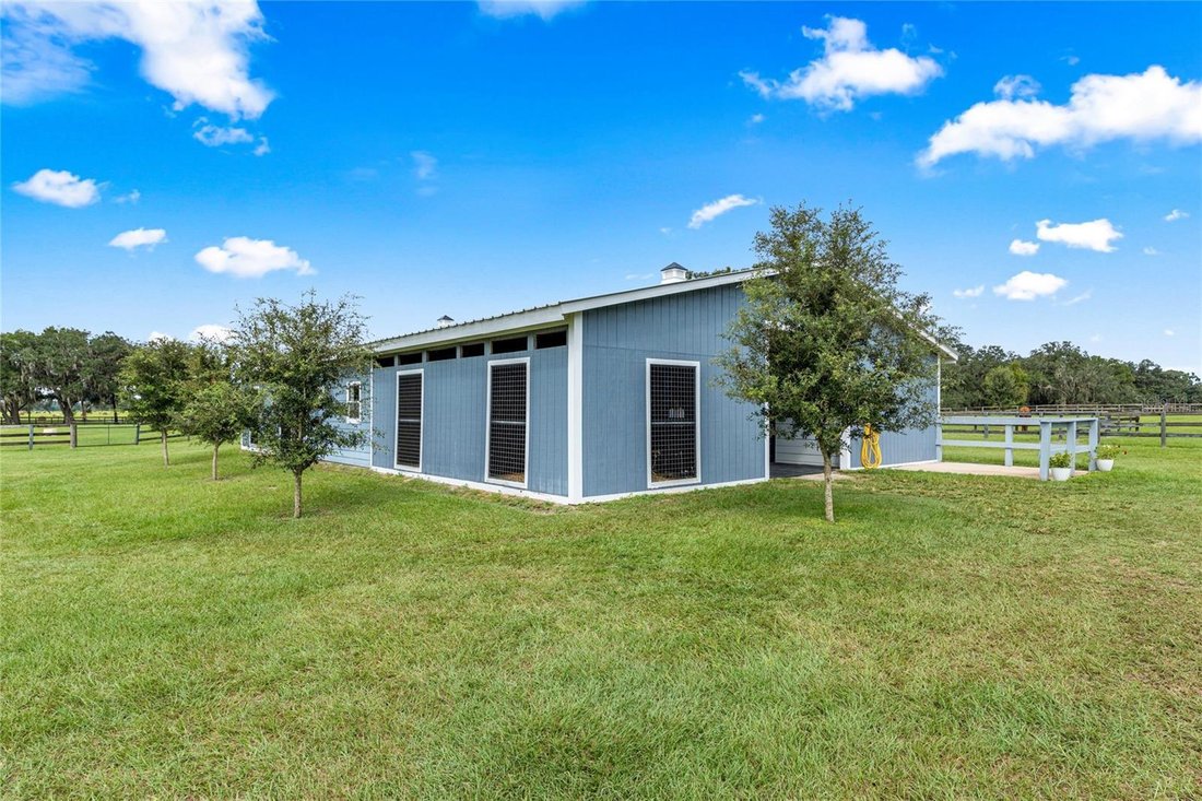 Azienda agricola a Ocala, Florida, Stati Uniti 5 - 19089785