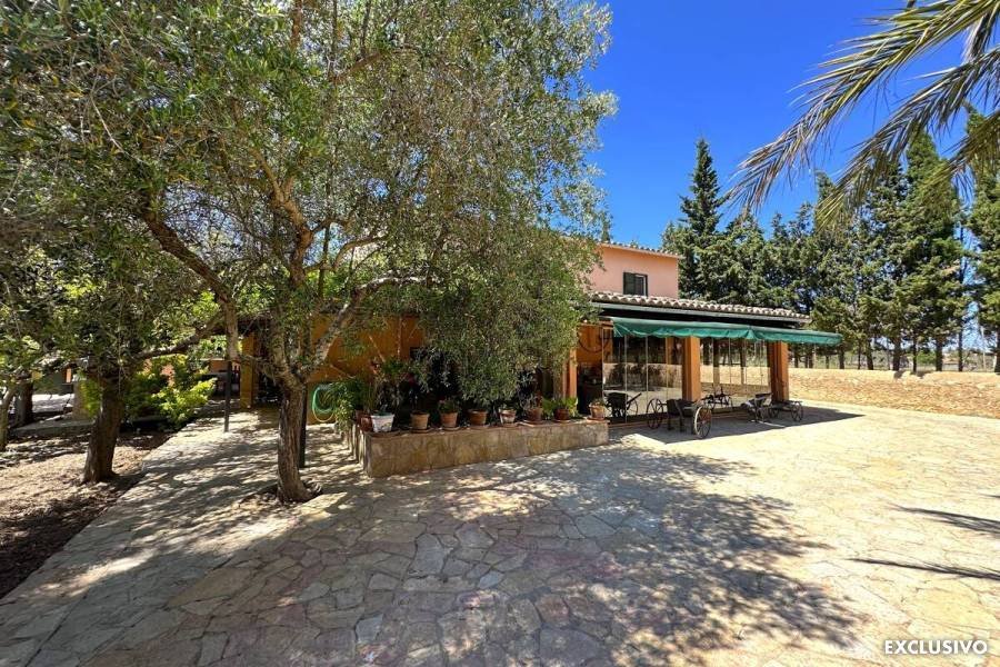 Finca in Inca, Balearic Islands, Spain 1 - 18537812