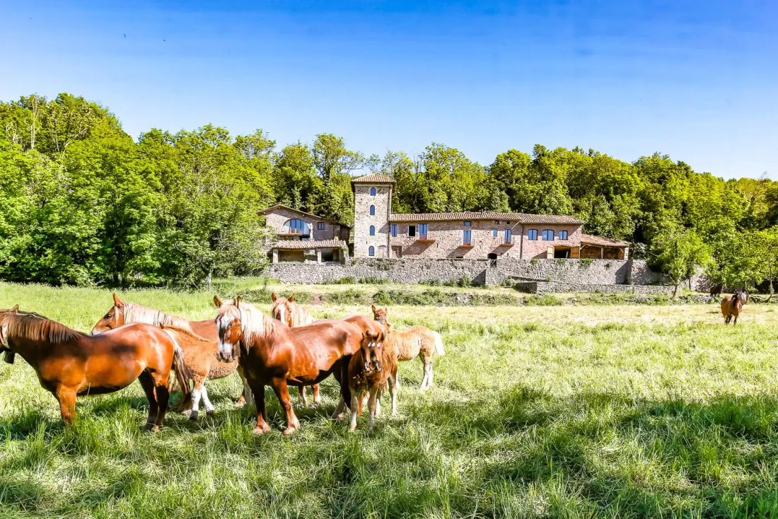 Finca à Camprodon, Catalogne, Espagne 3 - 18301666