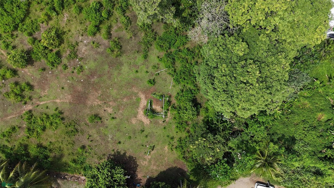 Terreno a Uvita, Provincia di Puntarenas, Costa Rica 5 - 17810736