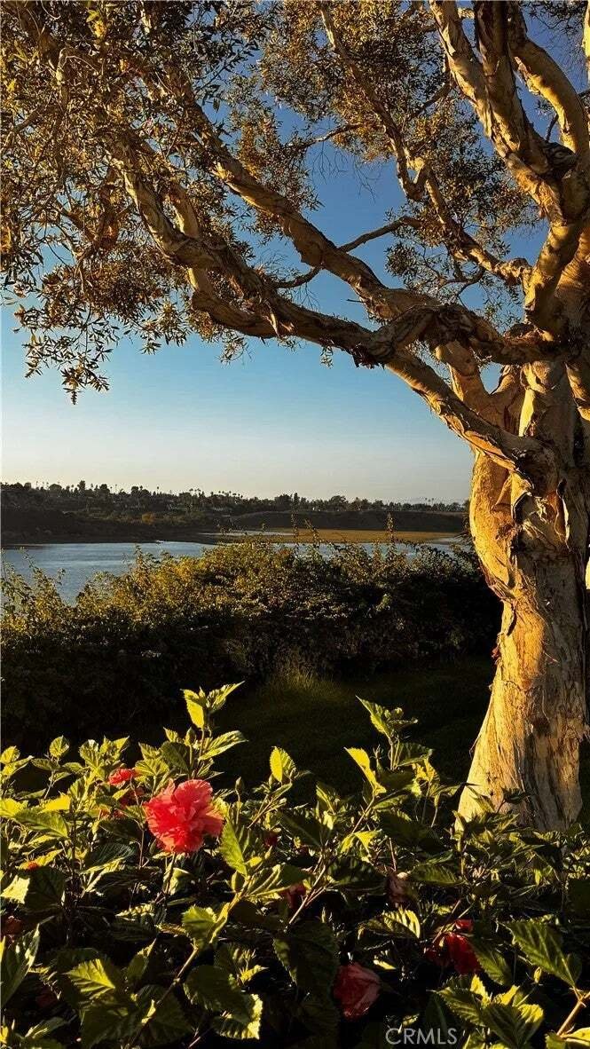 Appartement à Newport Beach, Californie, États-Unis 1 - 19092199