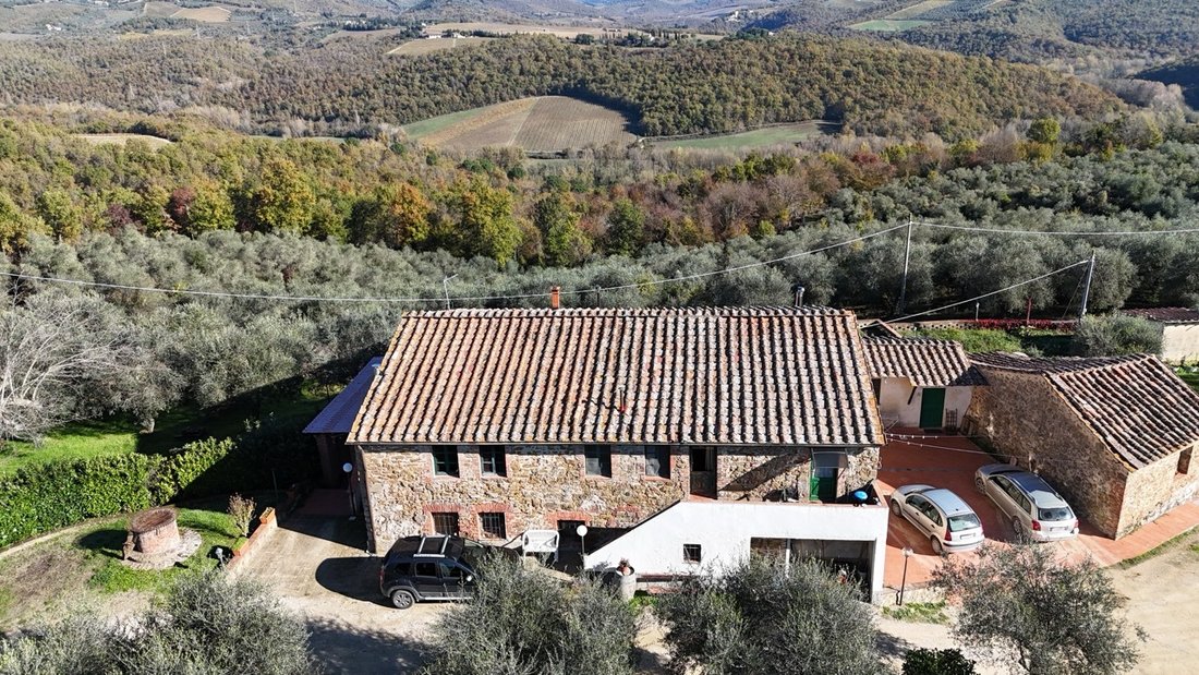 Azienda agricola a Castelnuovo Berardenga, Toscana, Italia 4 - 19092826