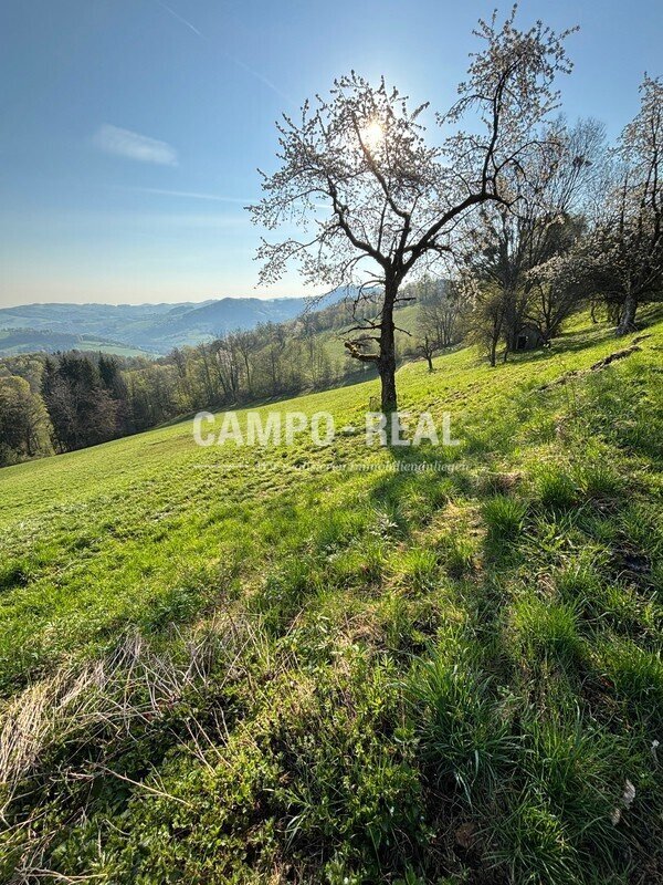 Eschenau, Lower Austria, Austria 5 - 19092944