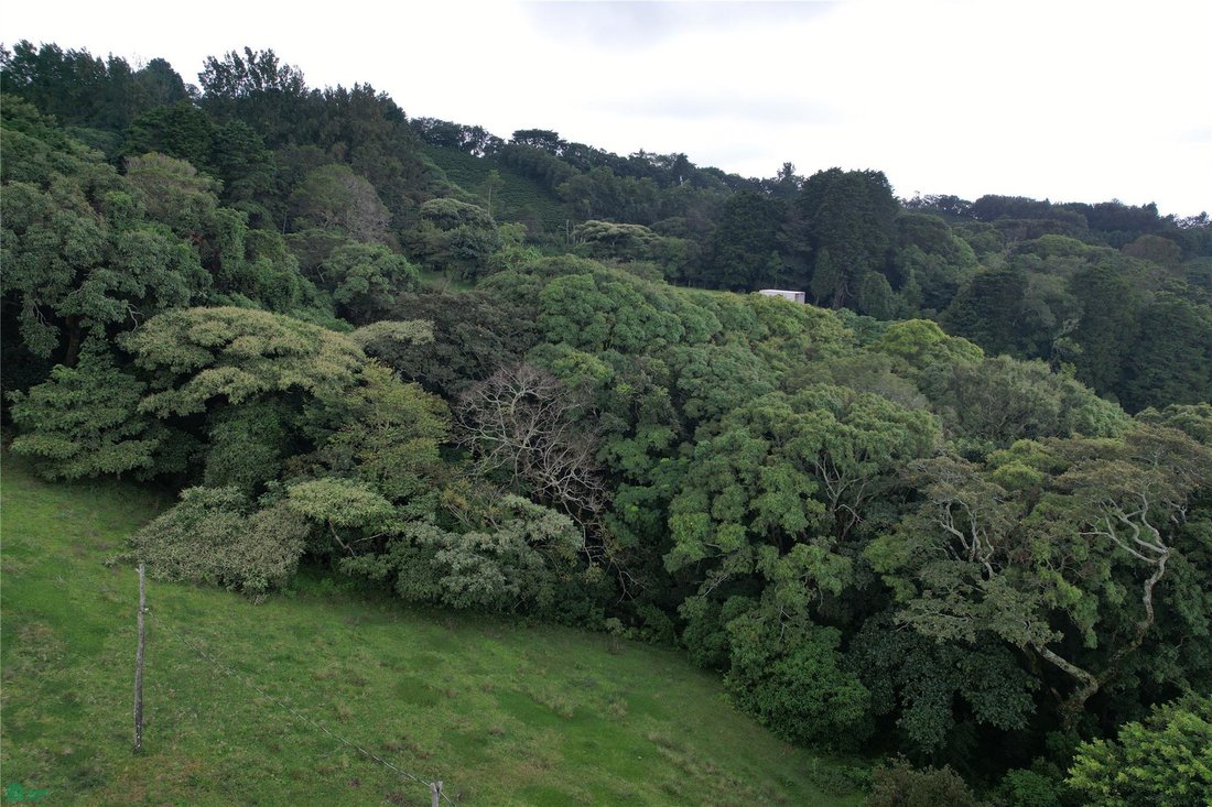 Terrain en Naranjo, Alajuela, Costa Rica 1 - 19091897