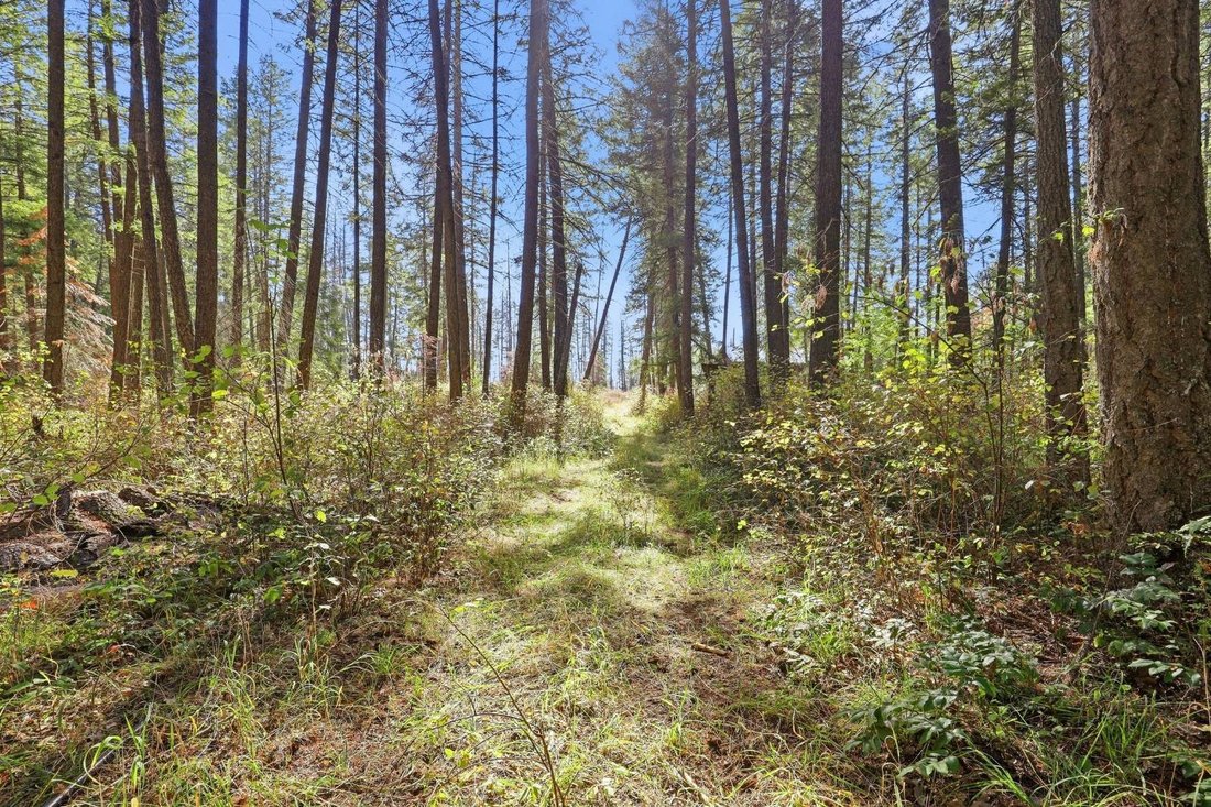 Land in Hayden, Idaho, Vereinigte Staaten 4 - 19096646