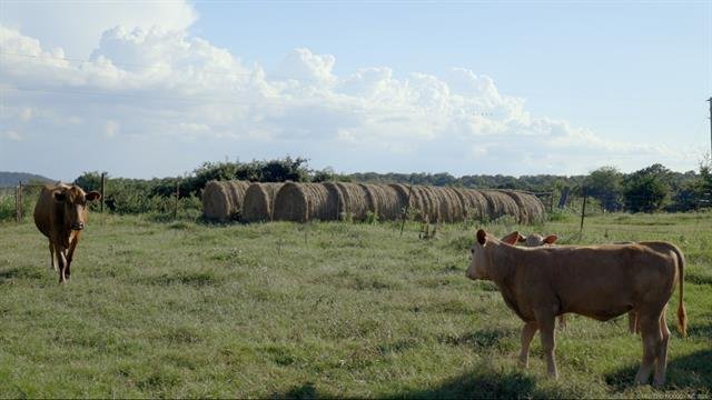 Land in McAlester, Oklahoma, Vereinigte Staaten 5 - 17424067