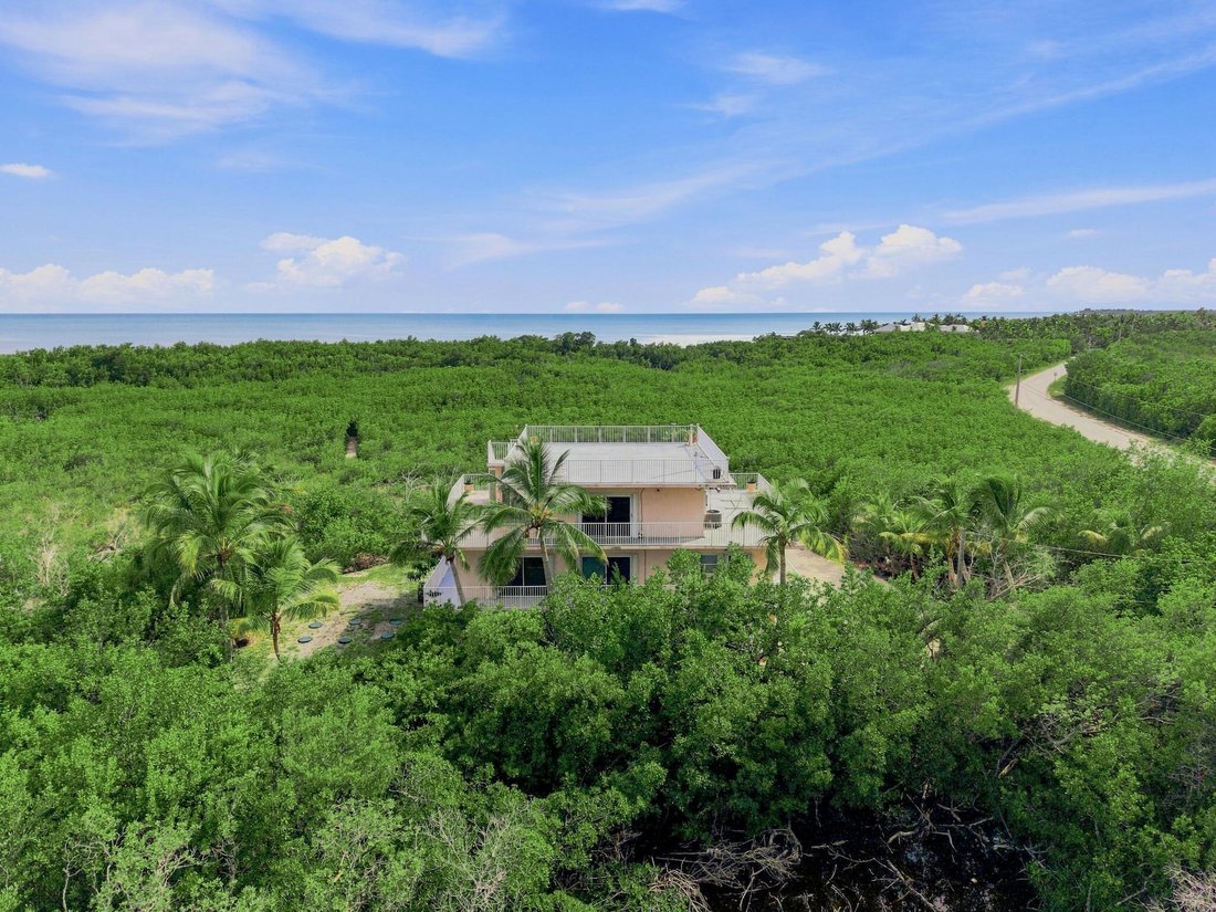 Haus in Big Pine Key, Florida, Vereinigte Staaten 1 - 19093982
