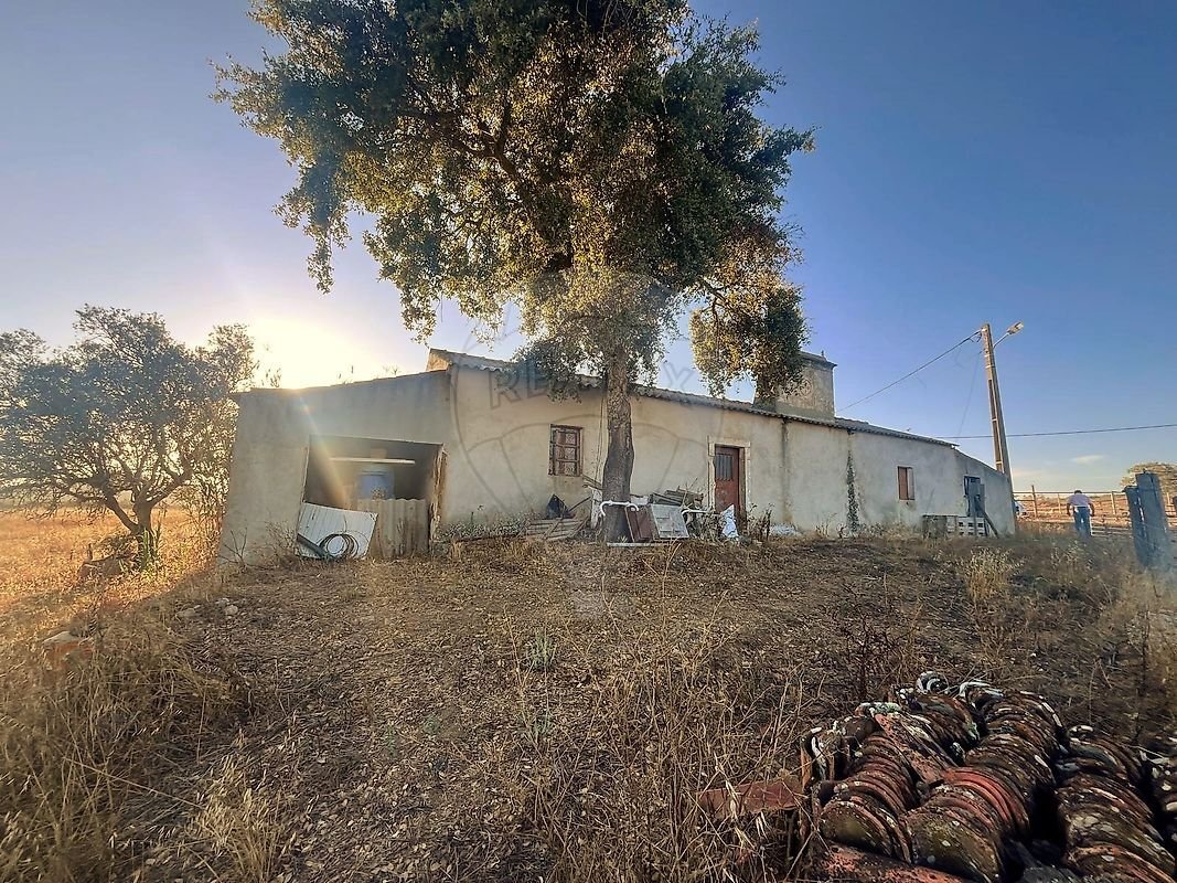 Farm Ranch in Sao Francisco da Serra, Setubal, Portugal 1 - 19095854