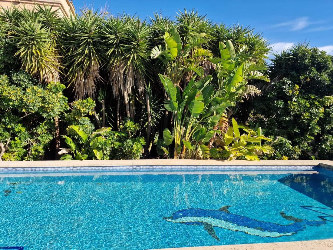 Finca in Campos, Balearische Inseln, Spanien 4 - 18244102