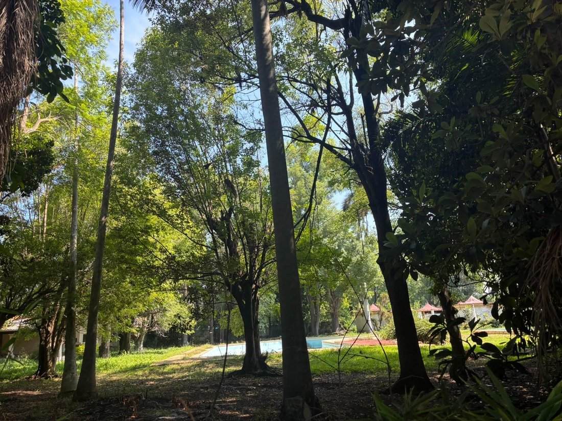 Land in Alpuyeca, Morelos, Mexiko 3 - 19098153