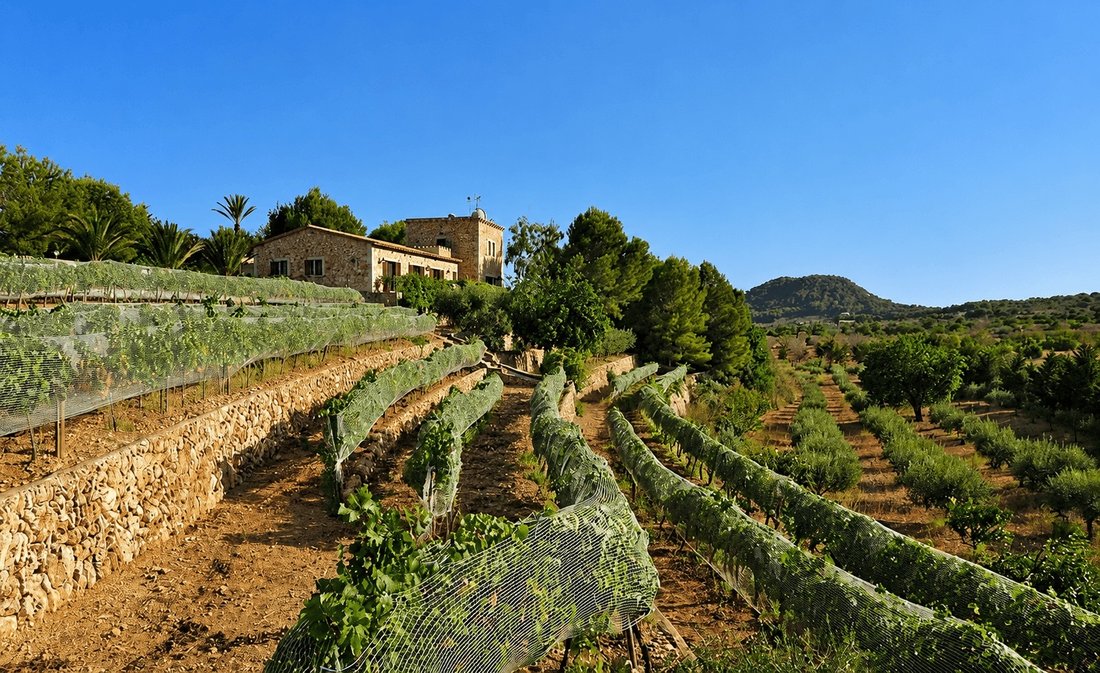 Finca in Santanyí, Balearische Inseln, Spanien 1 - 19095592
