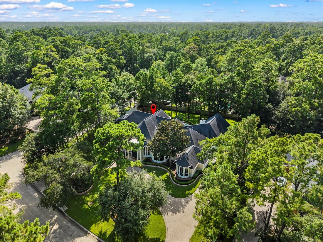 House in The Woodlands, Texas, United States 1 - 19097619
