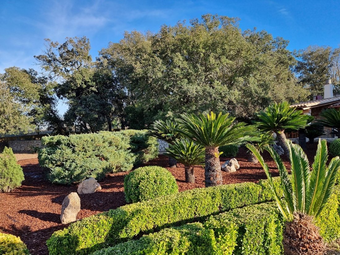 Finca a Felanitx, Isole Baleari, Spagna 4 - 18242819