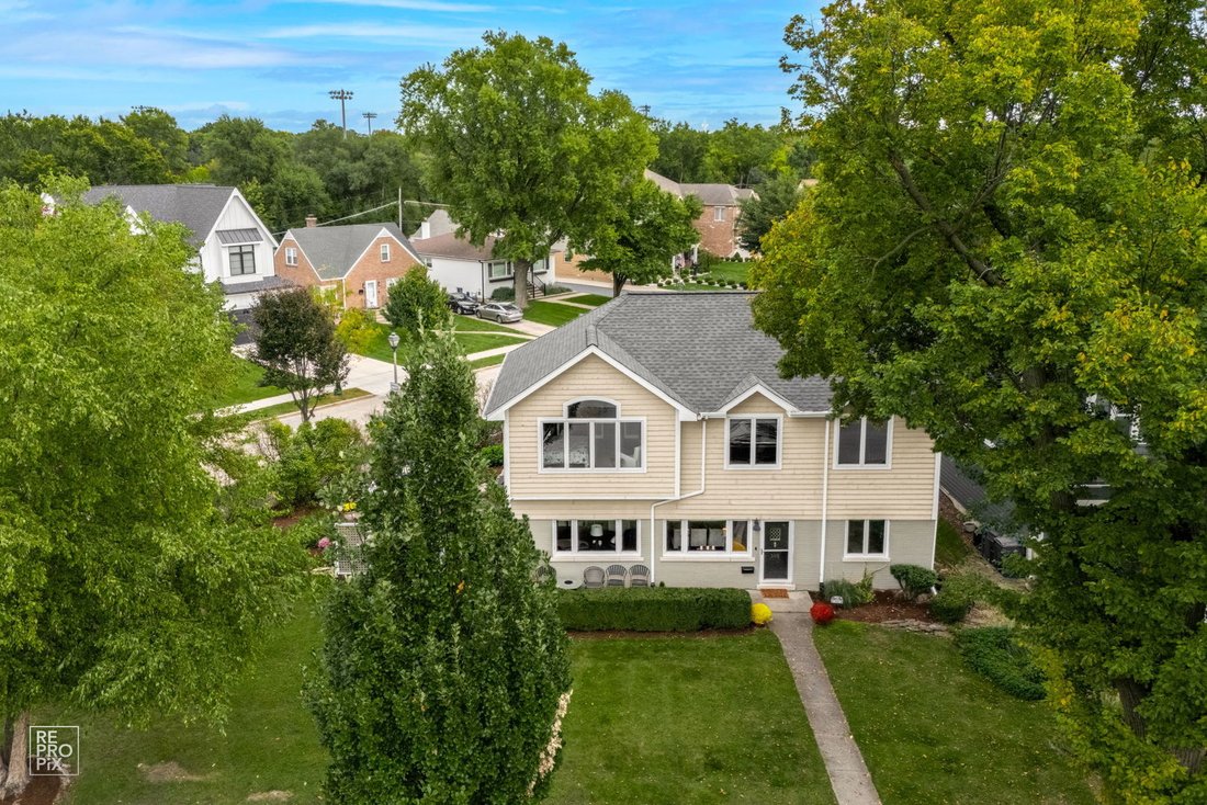 Haus in Elmhurst, Illinois, Vereinigte Staaten 1 - 19097353