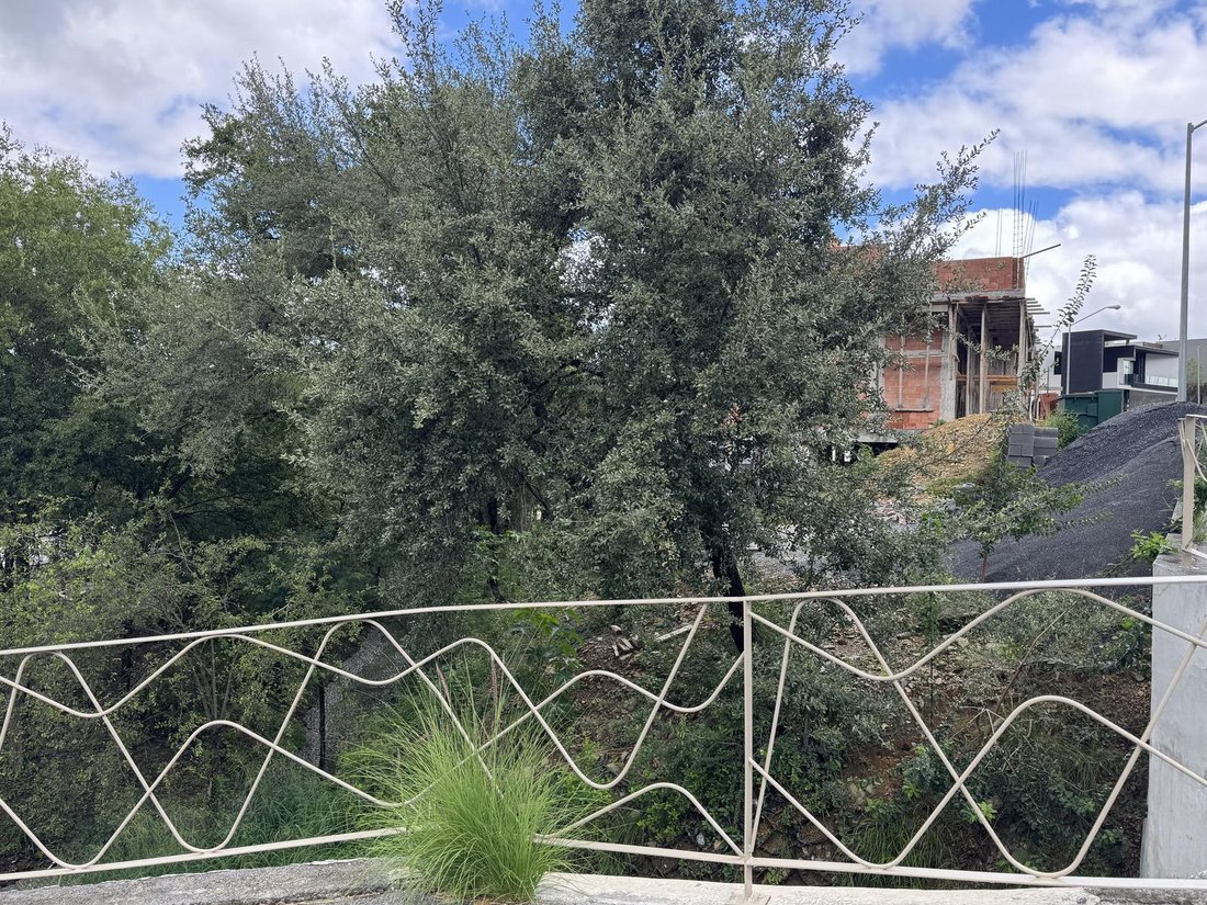Casa a Monterrey, Nuevo León, Messico 5 - 19096112