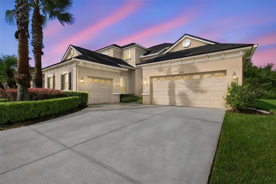 House in Land O' Lakes, Florida, United States 3 - 19096999