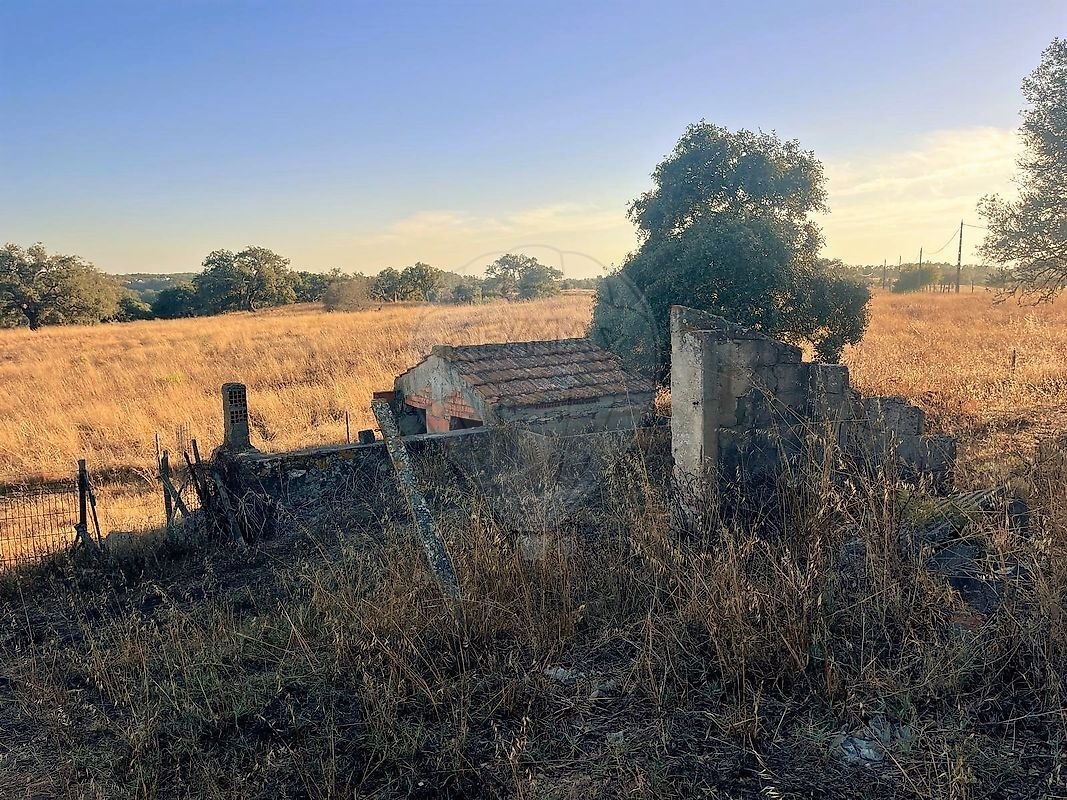 Farm Ranch in Sao Francisco da Serra, Setubal, Portugal 5 - 19095854