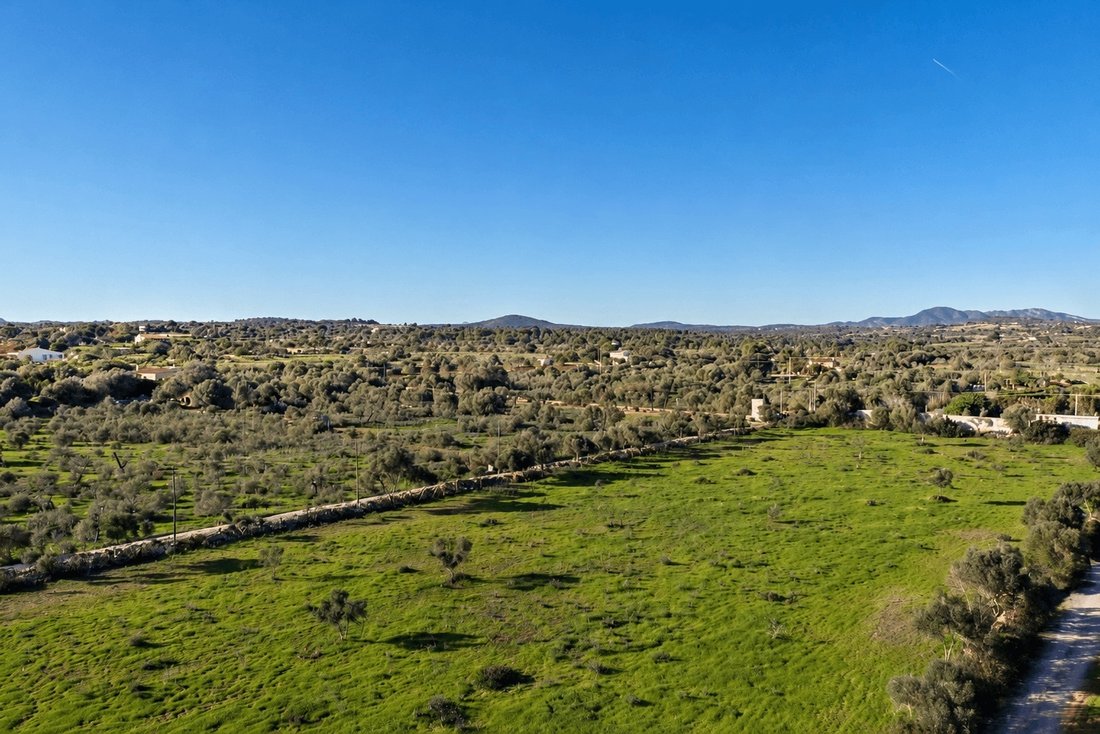 Finca a Manacor, Isole Baleari, Spagna 1 - 19094850