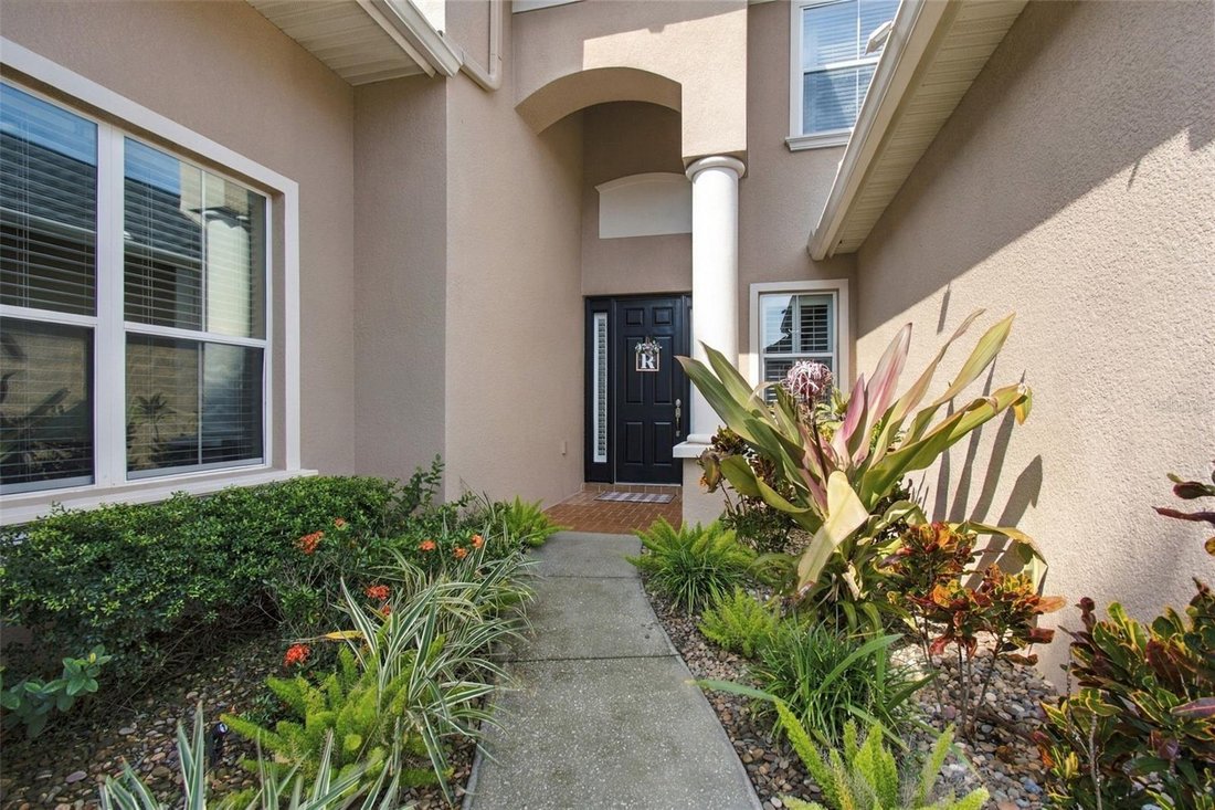 House in Land O' Lakes, Florida, United States 5 - 19096999